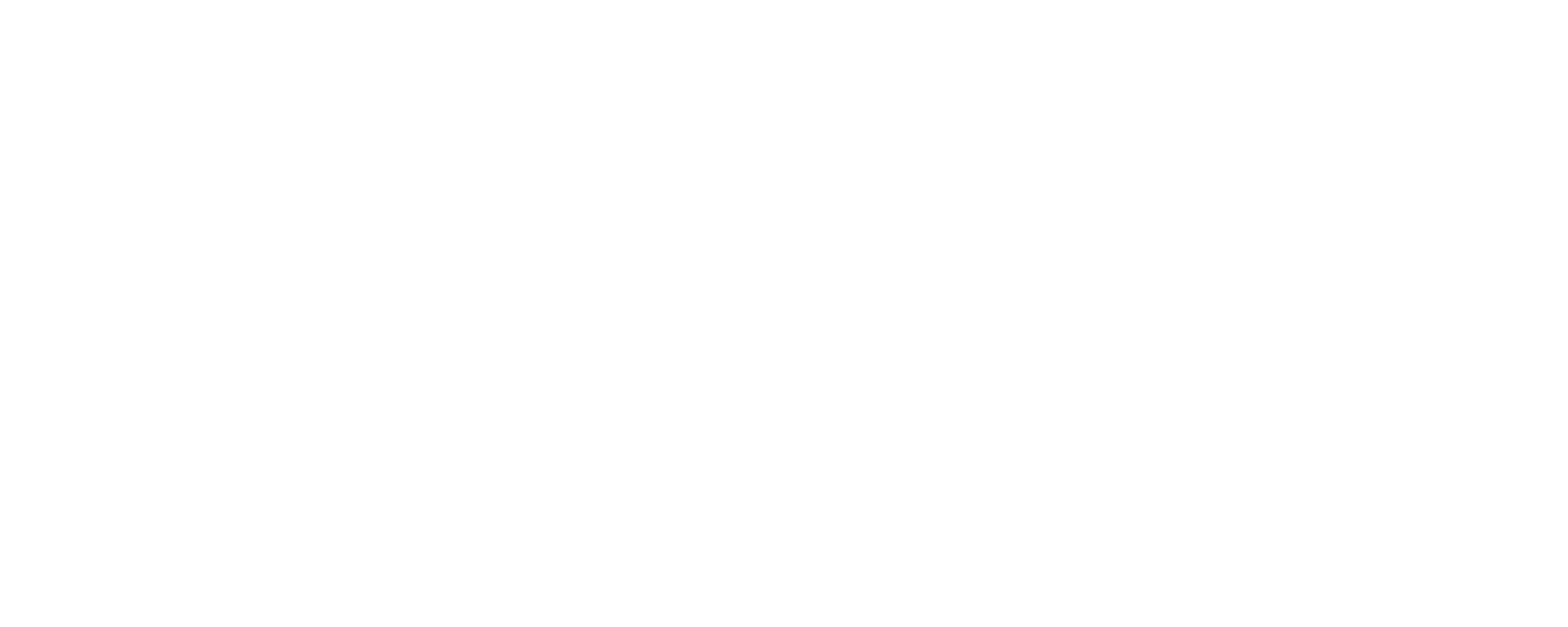 Evoliss